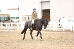 SBM_01333