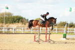 SBM_001981