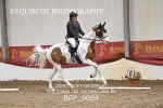 BPP_9084