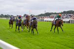220824-Race 1-Celandine-6591