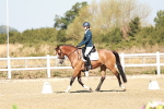 SBM_017301
