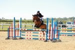 SBM_000655