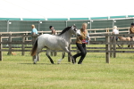SBM_02378
