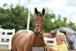 Trot Up 4pm to 5pm portfolio