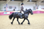 SBM_08884