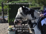 BPP_8772
