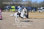 BPP_5808