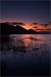 Bassenthwaite Beginnings
