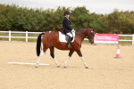 SBM_000487