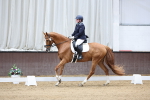SBM_000915