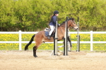 SBM_003918