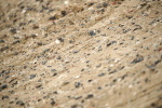 SBM_001399