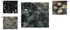 IDA007: Mussels, Barnacles & Limpets