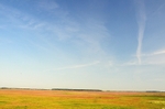 Hortobágy National Park, Hajdú-Bihar county, Hungary