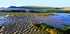 Trevose Head from Constantine Bay, North Cornwall EDC062