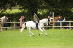 SBM_71681