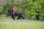 WJ6_1659