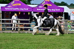 SBM_09348
