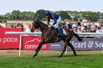 130826-Race 5-Wardlaw-9486