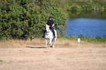 WJ6_6964