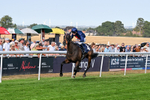 130826-Race 5-Wardlaw-9470