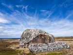 ERRATICS - CAPE FREELS