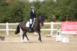 SBM_015017