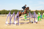 SBM_003874