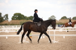 SBM_05323