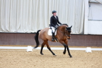 SBM_001390