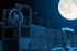 Moonlit Apedale
