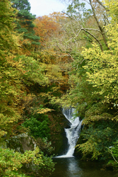 WATER & REFLECTIONS portfolio