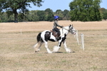 WJ6_8793