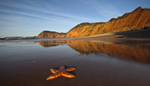 Sidmouth sunrise