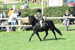 SBM_50340