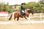 SBM_008755