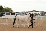 SBM_16478