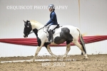 BPP_8303