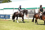 SBM_16440