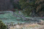 Tweed Valley-8