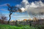 z3328 Winter Rainbow, Shanklin