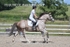BPP_3497