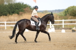 SBM_008277