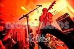 Teaspoonriverneck-117