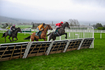 151125-Race 5-Gowel Road-3928