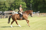 SBM_10265