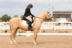SBM_03772