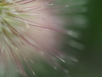 P91800060011