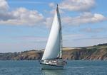 140729 SCOT FREE GBR1443T WT7A1858