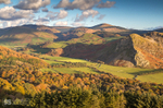 Dysynni valley & Bird Rock